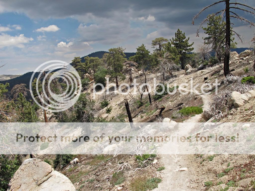 Dirt Treaders Mountain Biking Community • View topic Grays Peak